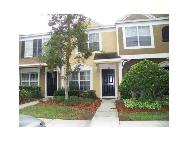 29914 ALTA VITA LN, Wesley Chapel, FL 33543