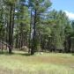 149 Wild Cat Circle, Payson, AZ 85541 ID:1931883