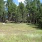 149 Wild Cat Circle, Payson, AZ 85541 ID:1931887