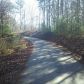 29 Big Buck Mountain Road, Ellijay, GA 30540 ID:4479361