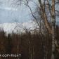 665 N Deshka Ridge Drive, Palmer, AK 99645 ID:5536504