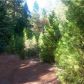 6477 Vine Rd, Magalia, CA 95954 ID:1146656