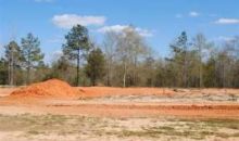 Lot 9 County Road 539 Enterprise, AL 36330