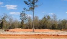 Lot 6 County Road 539 Enterprise, AL 36330