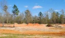 Lot 2 County Road 539 Enterprise, AL 36330