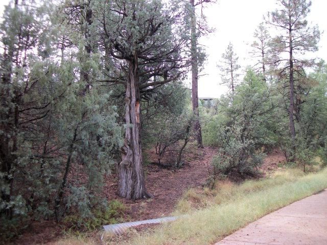 2506 E. Feather Plume Lane, Payson, AZ 85541