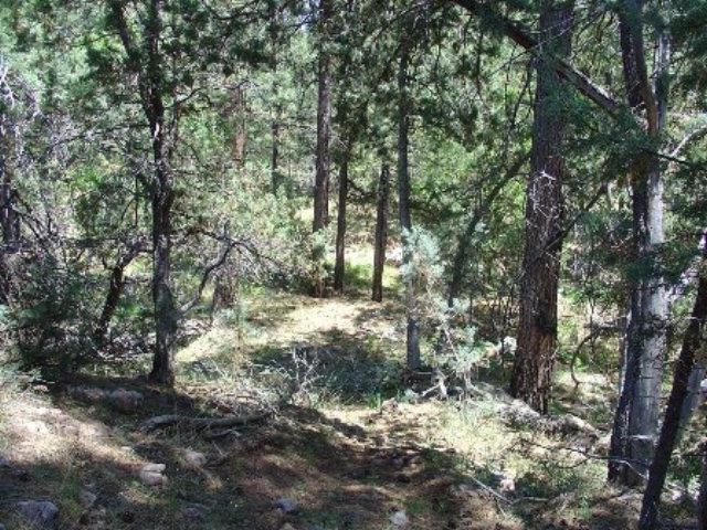 Lot 41 Ellison Creek Estates, Payson, AZ 85541