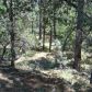 Lot 41 Ellison Creek Estates, Payson, AZ 85541 ID:1932170