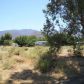 9117 Apache Ave, Lake Isabella, CA 93240 ID:1655155