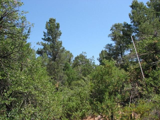 806 N. Blazing Star, Payson, AZ 85541