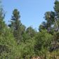 806 N. Blazing Star, Payson, AZ 85541 ID:1931778