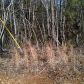 1 Cowart Mountain Trail, Waleska, GA 30183 ID:4947688