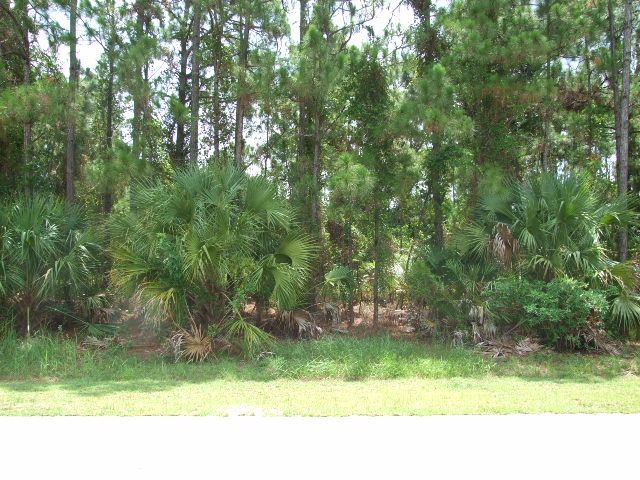 209 Deeyan Ave Northwest, Palm Bay, FL 32907