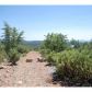 9 Myrtle Point Trail, Payson, AZ 85541 ID:1931717