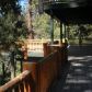 43490 Primrose Drive, Big Bear Lake, CA 92315 ID:555284