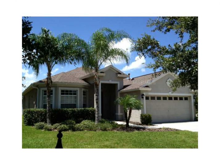 3133 SILVERMILL LOOP, Land O Lakes, FL 34638