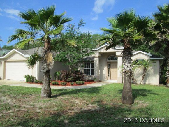 503 Nature Creek Ln, New Smyrna Beach, FL 32168