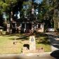 808 Haven Street Se, Atlanta, GA 30315 ID:5729032