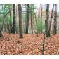 0 Limber Lost Trail, Cleveland, GA 30528 ID:4703370