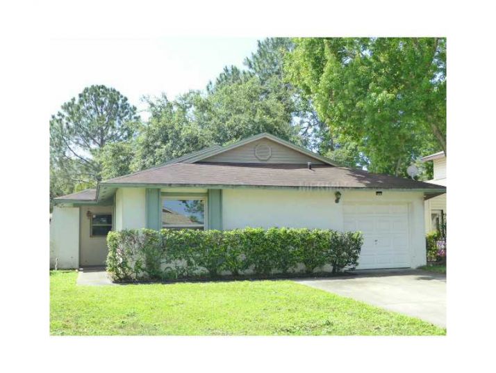 10538 Chadbourne Dr, Tampa, FL 33624