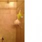 7020 McKenzie Ct, Montgomery, AL 36117 ID:1185189