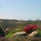 3395 Wildflower Valley Dr, Encinitas, CA 92024 ID:2016449