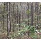 0 Little Refuge Road, Waleska, GA 30183 ID:5721059