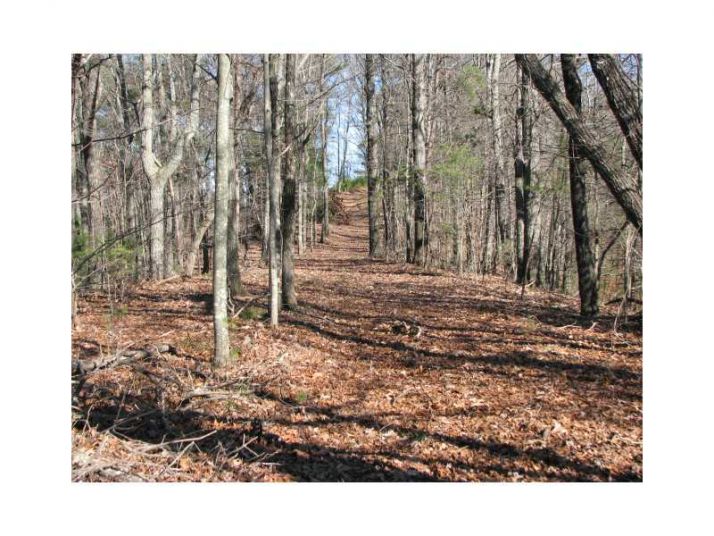 1 Ranch Mountain Drive, Dahlonega, GA 30533