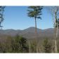 1 Ranch Mountain Drive, Dahlonega, GA 30533 ID:3566410