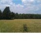 3055 COUNTY ROAD 1, Gallion, AL 36742 ID:1532062