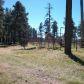 16446 N. Hwy 87 & APN 407-08-002, Payson, AZ 85541 ID:1591497