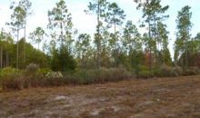 Land  Lot 86 Third L Jesup, GA 31546