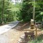 160 Lemmon Lane, Ellijay, GA 30540 ID:3358321