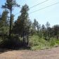 249 Mogollon Vista, Payson, AZ 85541 ID:1931573