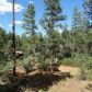 249 Mogollon Vista, Payson, AZ 85541 ID:1931578