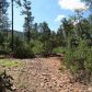 249 Mogollon Vista, Payson, AZ 85541 ID:1931579