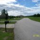 7888 N Lake Buffum Shores, Fort Meade, FL 33841 ID:3356042