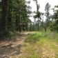 40 acres N GR 715, Paragould, AR 72450 ID:1168962