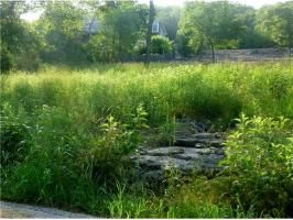 Lot 25 White River Ln., Eureka Springs, AR 72631