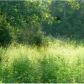 Lot 25 White River Ln., Eureka Springs, AR 72631 ID:1162475