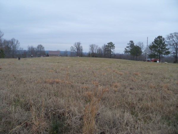 0 COUNTY 935, Crane Hill, AL 35053