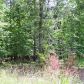 121 Cherokee Drive S, Waleska, GA 30183 ID:2464266