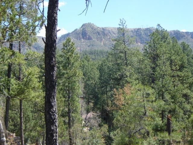 Lot 7 Tonto Rim Ranch, Payson, AZ 85541