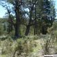 Lot 7 Tonto Rim Ranch, Payson, AZ 85541 ID:1593716