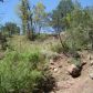 Lot 7 Tonto Rim Ranch, Payson, AZ 85541 ID:1593719