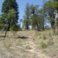 Lot 7 Tonto Rim Ranch, Payson, AZ 85541 ID:1593724