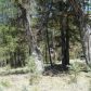 Lot 7 Tonto Rim Ranch, Payson, AZ 85541 ID:1593726