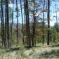 Lot 7 Tonto Rim Ranch, Payson, AZ 85541 ID:1593727