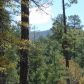 Lot 7 Tonto Rim Ranch, Payson, AZ 85541 ID:1593728