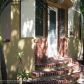 1925 JEFFERSON ST, Hollywood, FL 33020 ID:5884184